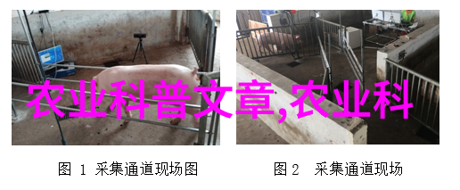 AI与大数据相互融合的前景展望