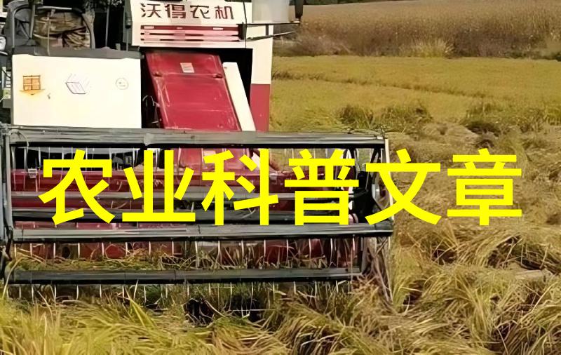 中国科学院带农业生态研究所发布农业图片新闻发芽糙米美味与健康并存