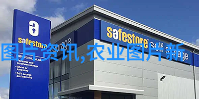 牧场智囊我的牛羊养殖实践日记