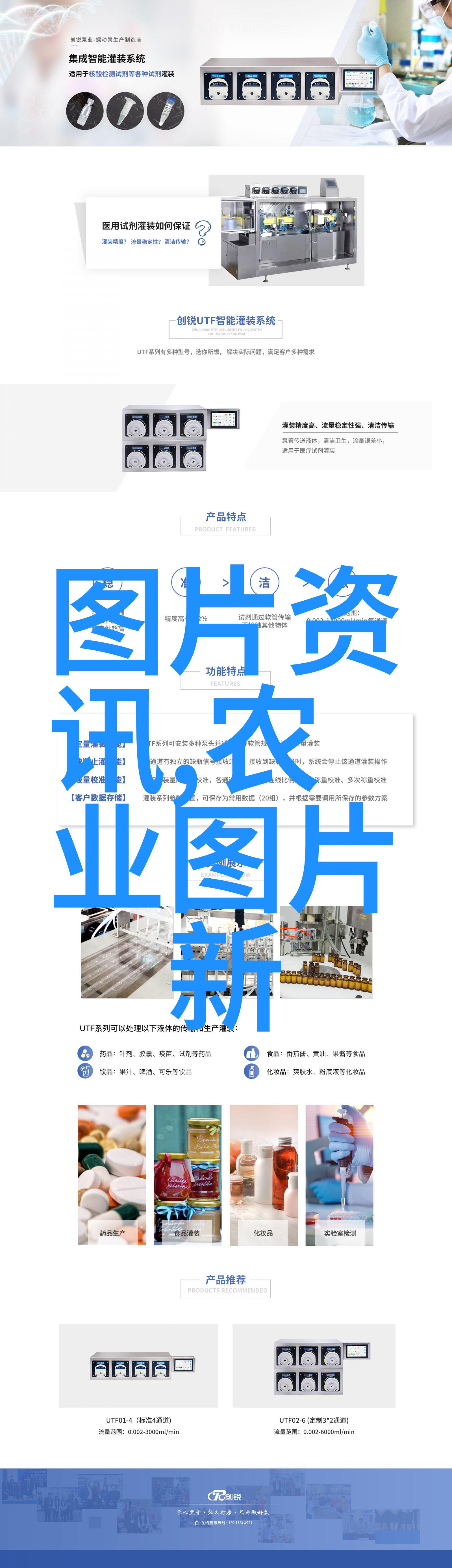 家庭阳台种菜盆我的小花园在空气中