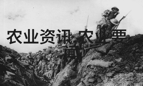 一亩田耕耘的可靠与挑战