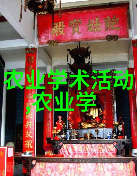 废旧材料再生花盆让每一寸空间都充满生命力