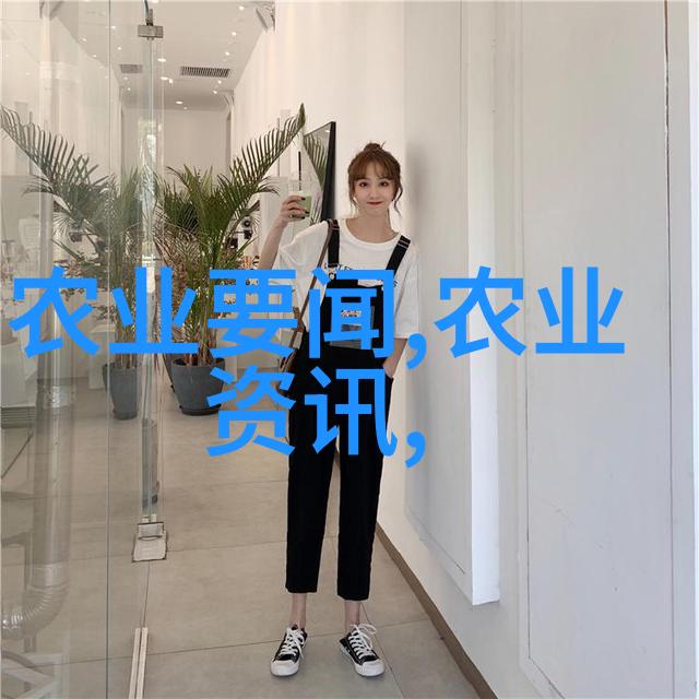 室内植物盆景的艺术与实用