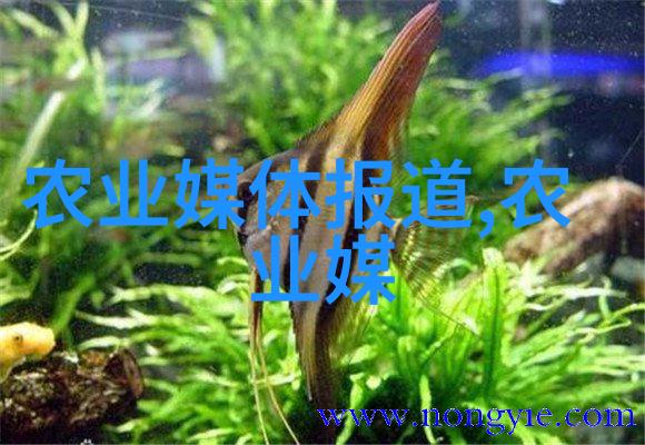 液压机械-高效流体传动系统的应用与维护策略