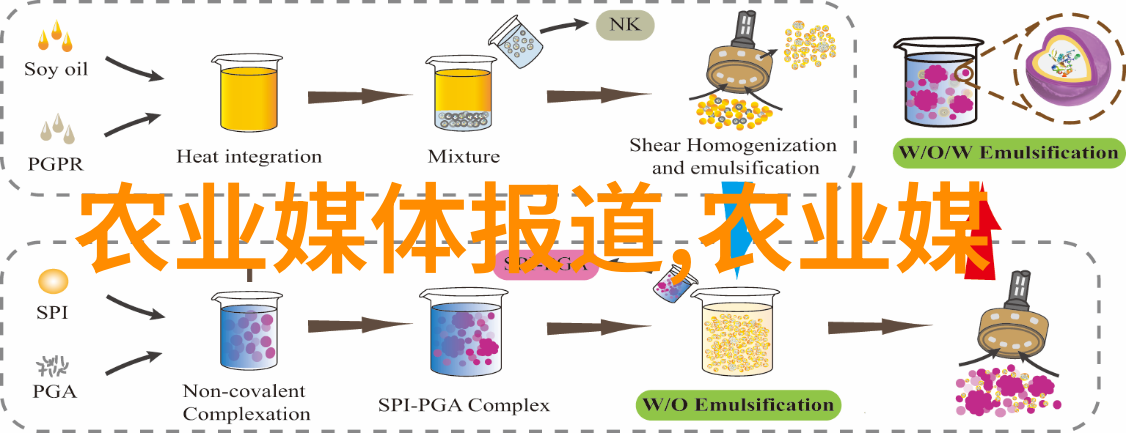 如何选择合适的草坪网实用指南