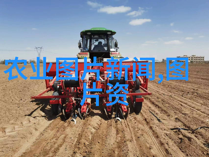 竹鼠养殖技术全解析从种植到饲养的精细操作指南