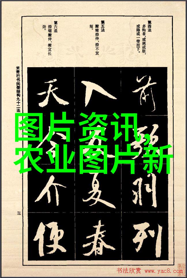 家中客厅宜养的花卉选择增添温馨与生机