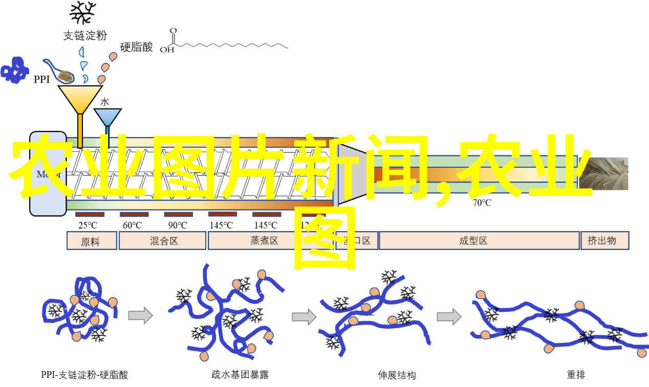 粮油作物资讯-丰收季节全球粮油产量预测与市场分析