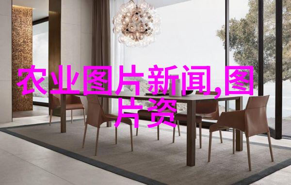 养殖信息我是怎么开始养鹅的