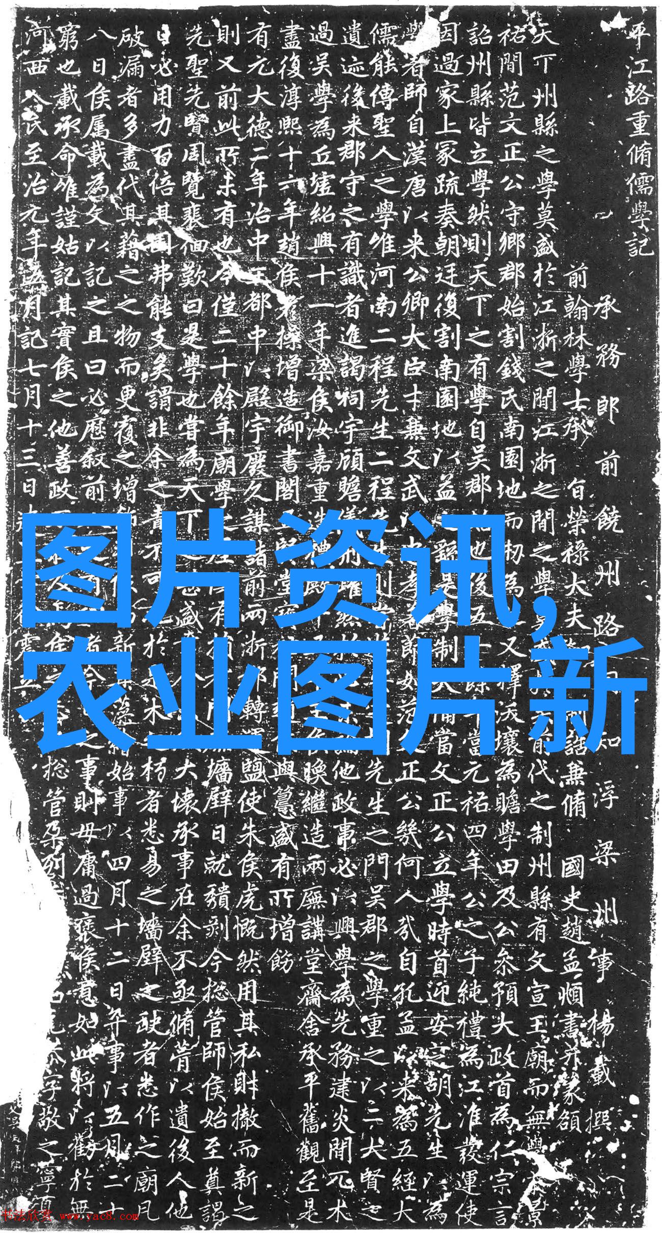 西方菜肴的魅力与技巧