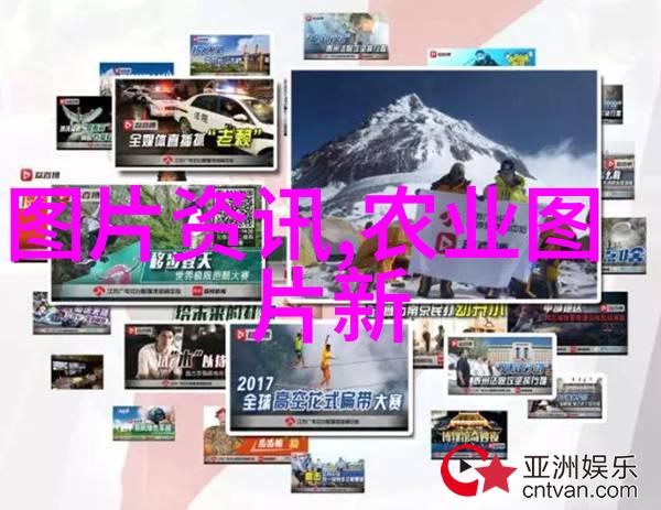 蔬菜网绿色健康的新选择