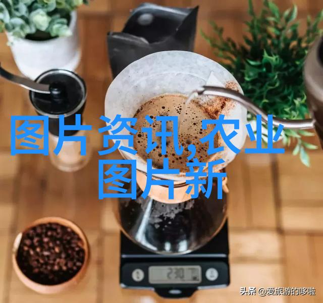 走进大自然的医馆農區 山頭 中藥材 全書的圖片故事