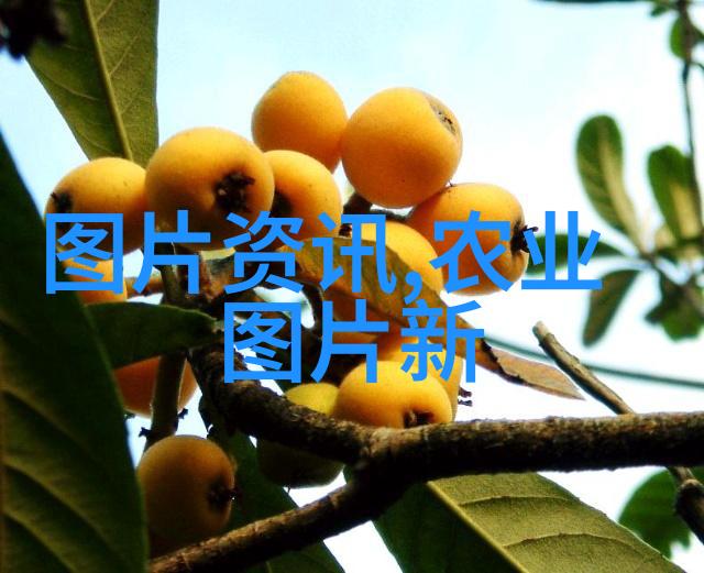 夜空下的呼唤今晚家中无人寒声远播