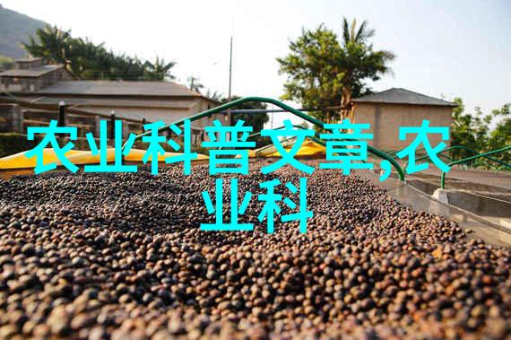 双面覆盖揭秘一面膜背后的韩国网剧世界