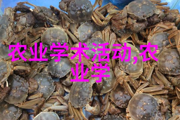 中国茶叶宝库品鉴各地名茶的艺术与魅力