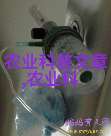 蔬菜之城现代大棚的绿色奇迹