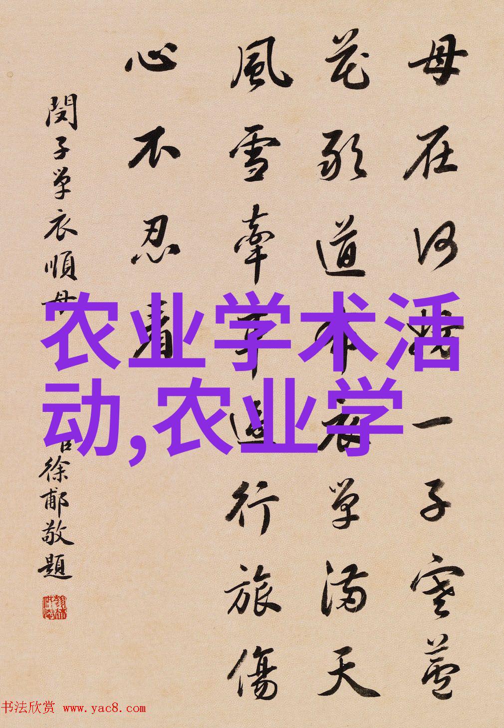 中药种植高收益项目健康养生产业的未来趋势