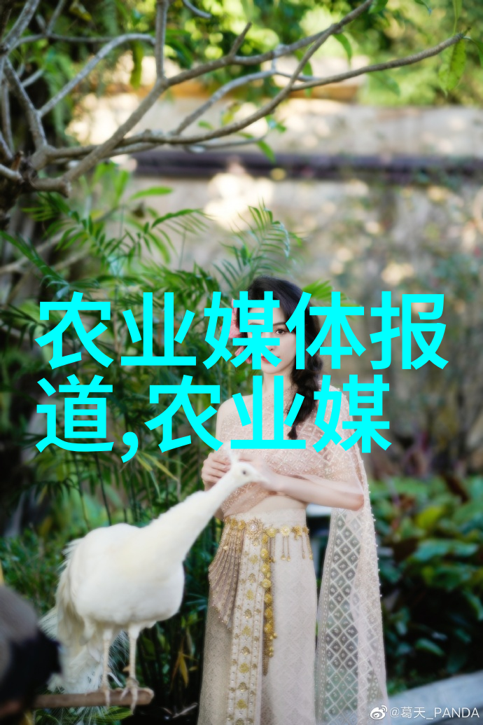 室内盆景之美树种选择与养护技巧