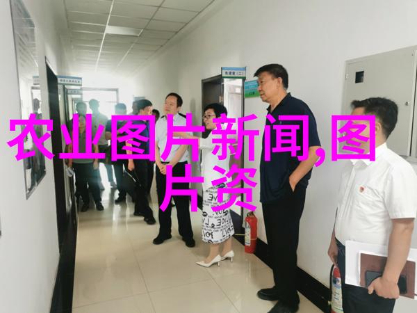 蔬香满园揭秘大棚种菜的奥秘与未知