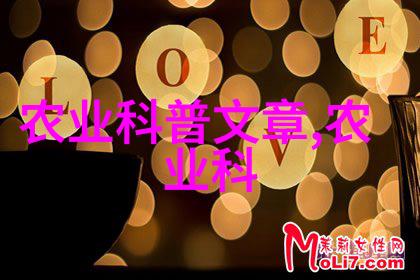 岁月的回响探索古代知识的传承与变迁
