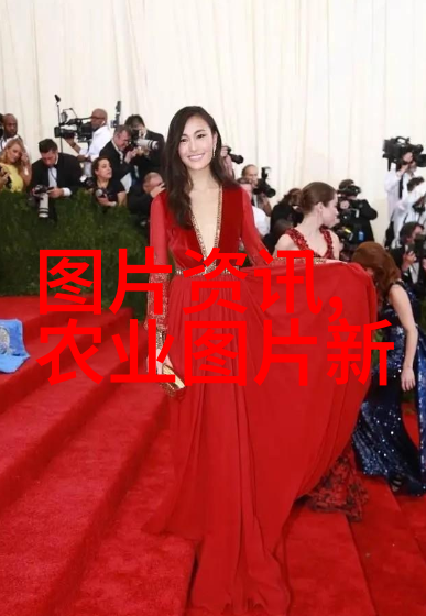 我出资金找合作养羊我的羊场梦如何找到合适的合作伙伴