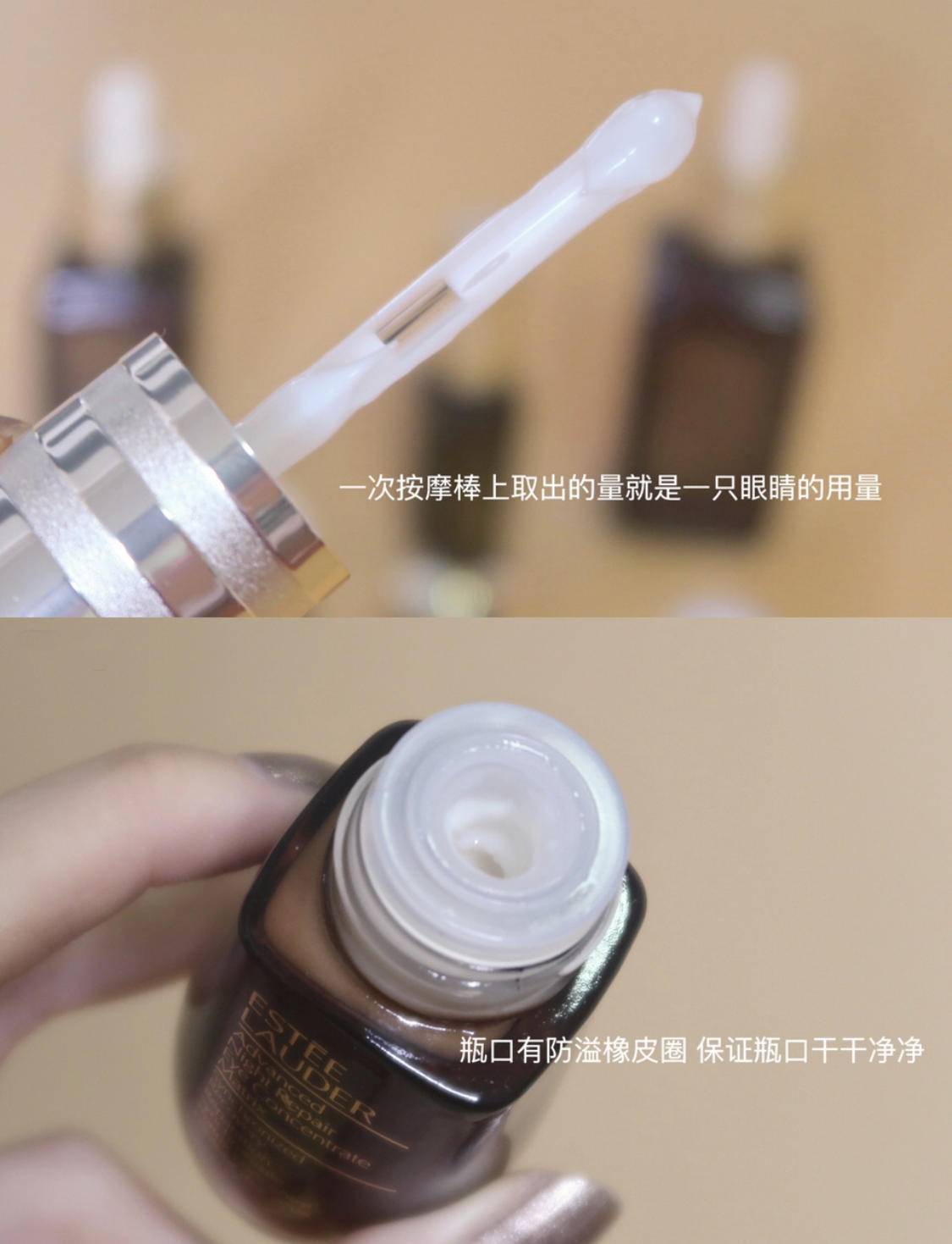 逆袭之文竹从零到英雄的养殖秘籍