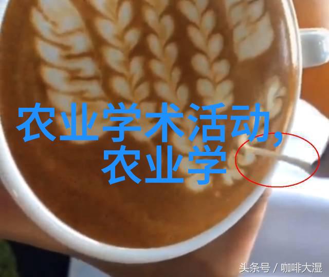 致我最爱的你叶非夜深情告白下的星光之恋