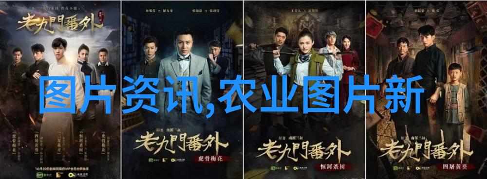水分管理指南如何适时给花卉补水不引起过度湿润