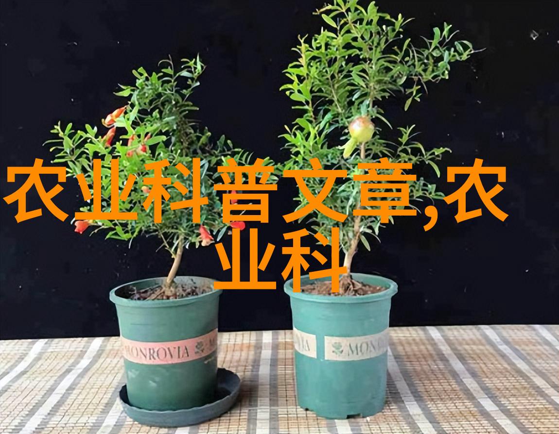 花卉是什么东西-探索花卉的世界色彩与生命力之源