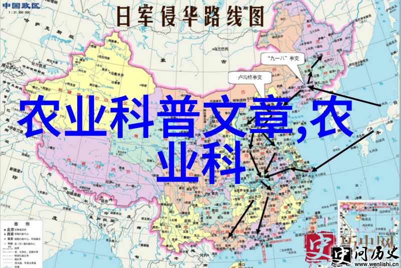 跌价最惨的中药材古木参当归白术