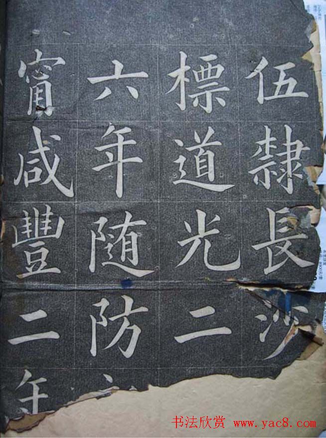 神秘作物揭开粮油之谜的新篇章