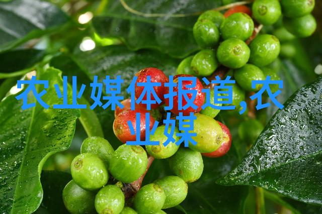 湖南农科院药材种苗传承中医文化育成绿色健康资源