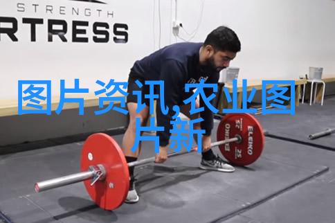 中华大法篇解锁千年法律的秘密