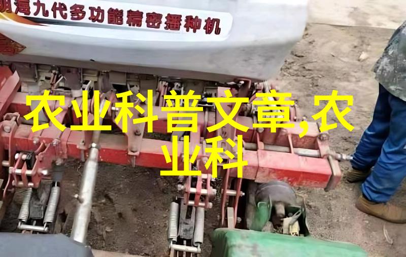 玉米种植-丰收指南如何高效栽培优质玉米