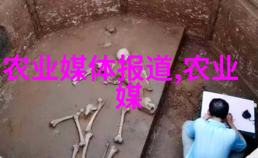 探索奇迹1000种多肉植物图鉴深度解析