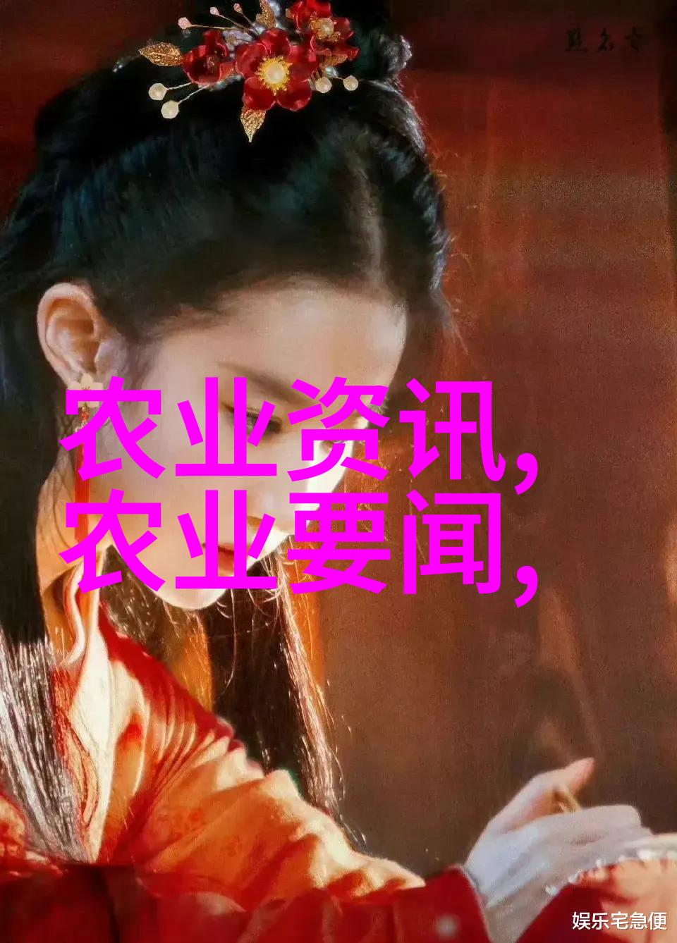 种花种子从土到花的奇妙旅程