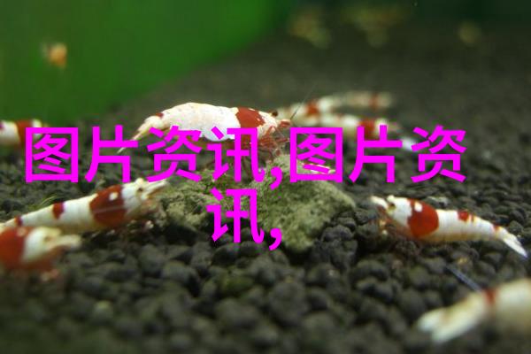 中国农业大学排名提升青睐未来农业科技的领军学府