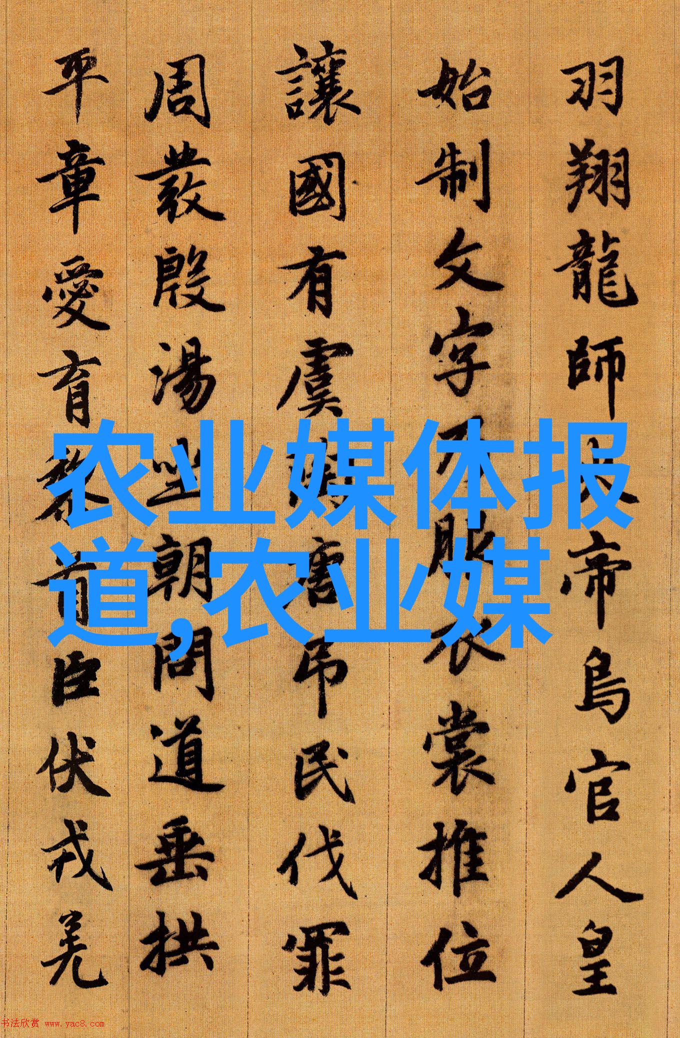 家中温馨的花园如何选择适合家庭的盆栽植物