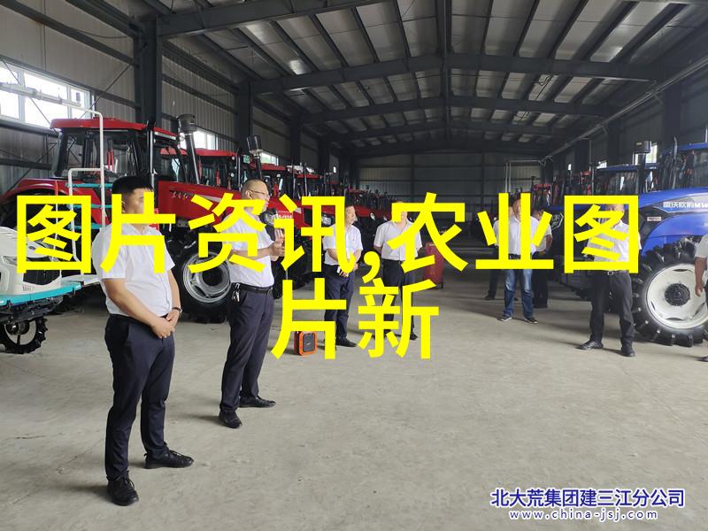 蜂后培育秘籍解锁养蜂技巧的全新篇章