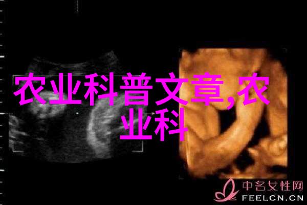 现代农业生产技术革新能否解决食物安全问题