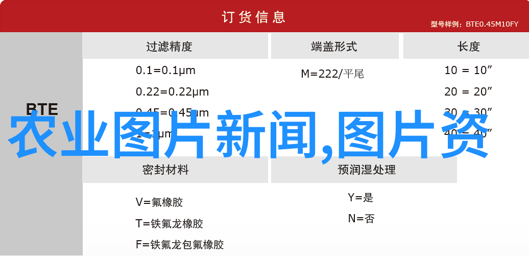 农村种植最好的是水果树如苹果梨橘和蔬菜如番茄黄瓜大蒜它们不仅经济实惠而且营养价值高适合多种土壤类型