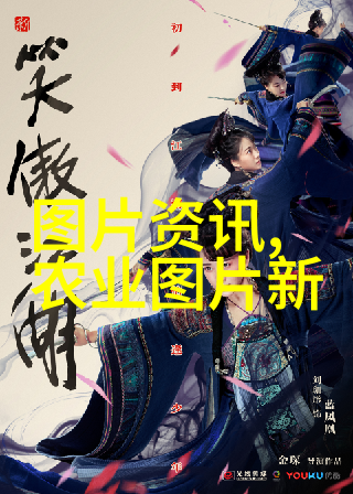 探索中药世界我的3000种中草药大全名字见证与图片故事