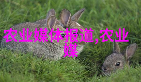 蔬菜大师免费开讲让你的菜园变成小花园