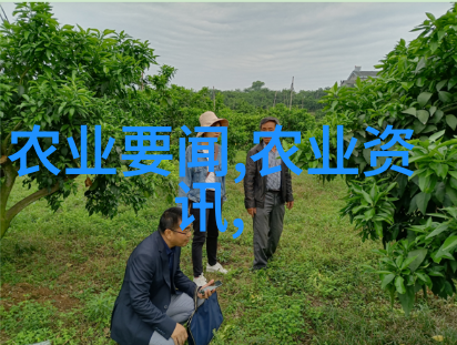 养蜂知识大全-蜜蜂的世界从繁殖到产品的全方位解析