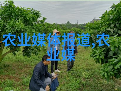 教育系统-学生成绩查询如何有效利用投档状态查询入口