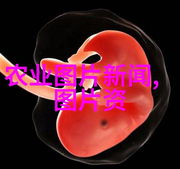 中国蔬菜大市揭秘十大批发市场的魅力与活力