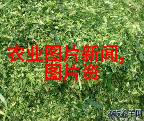 水泼的欢乐宝宝的日常冒险