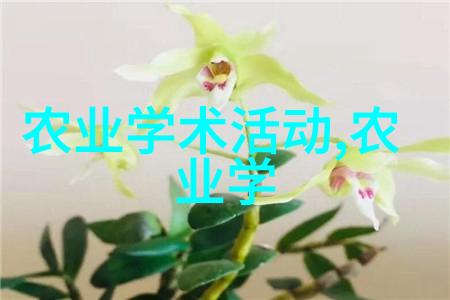 花园之恋常见花卉植株管理技术全解析