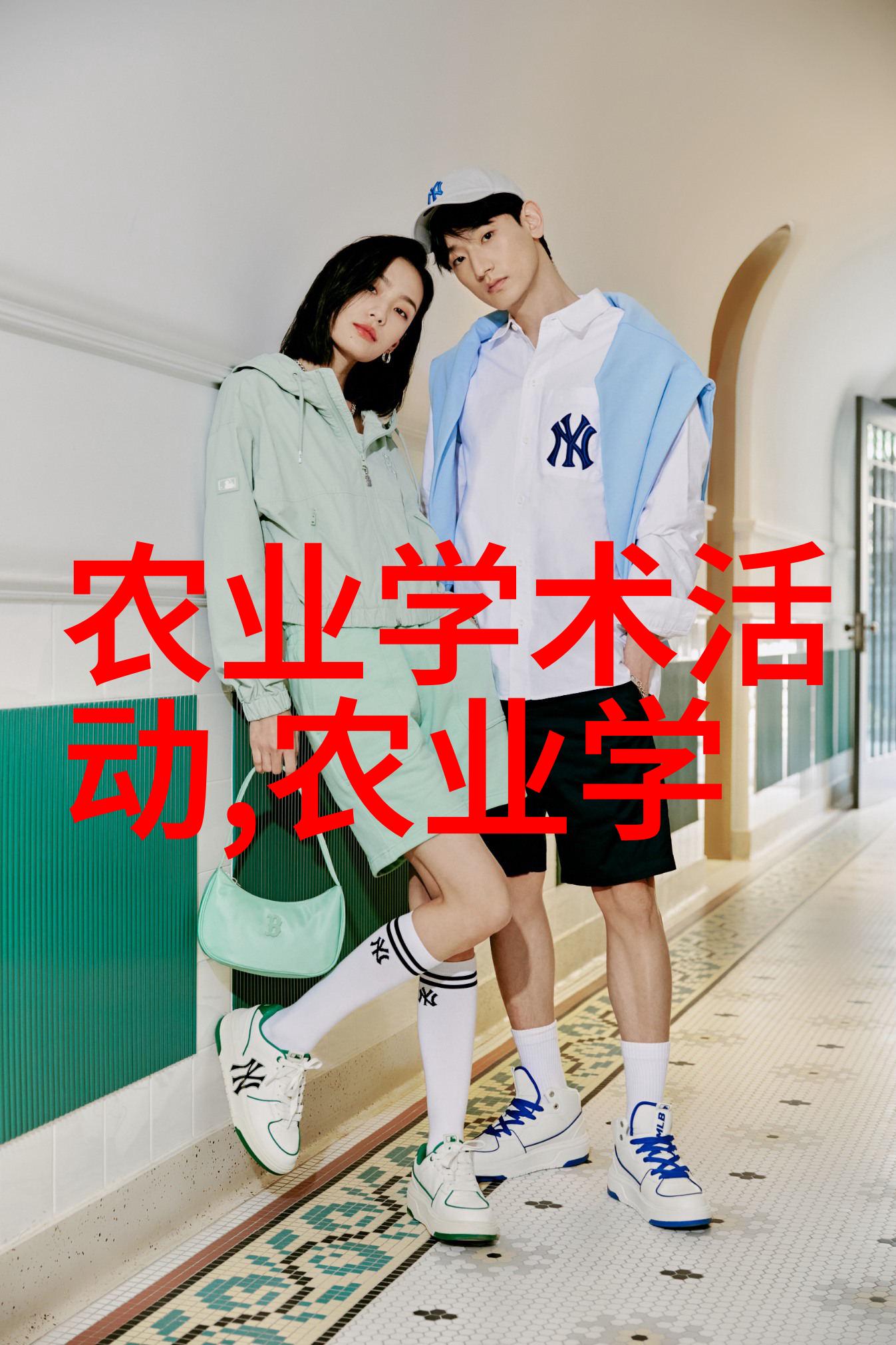 从古至今茶叶如何成为传统医学中的宝贵资源