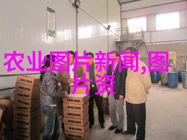 蔬菜种子批发市场的探究供应链分析与物流优化策略